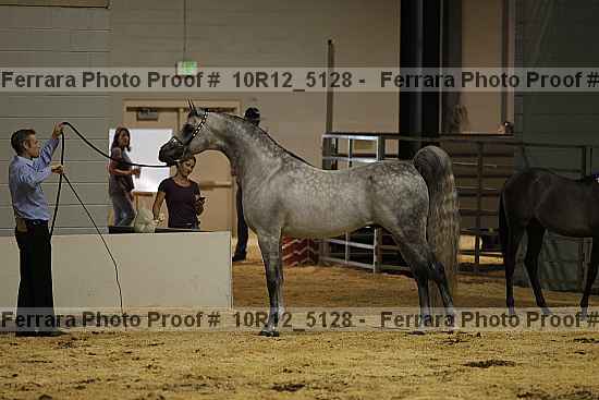 Proof Number 10r12_5128
