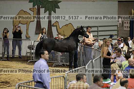Proof Number 10r12_5137