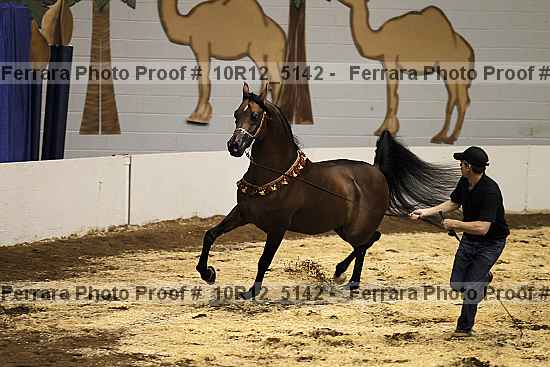 Proof Number 10r12_5142