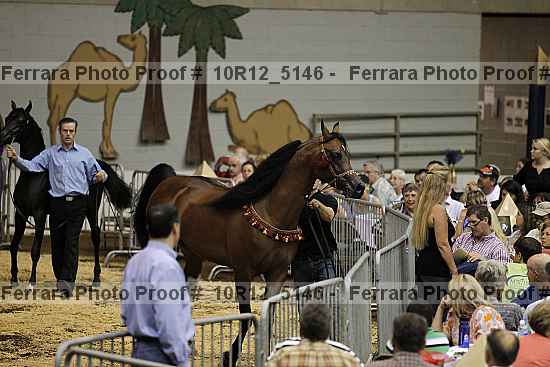 Proof Number 10r12_5146