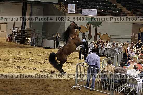 Proof Number 10r12_5148