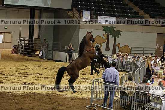 Proof Number 10r12_5151