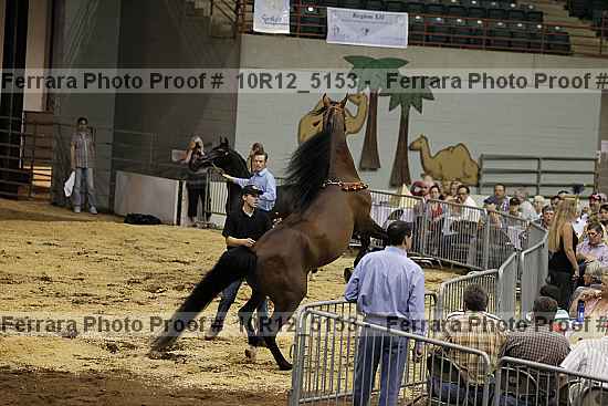 Proof Number 10r12_5153