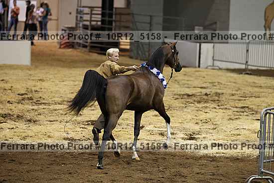 Proof Number 10r12_5158