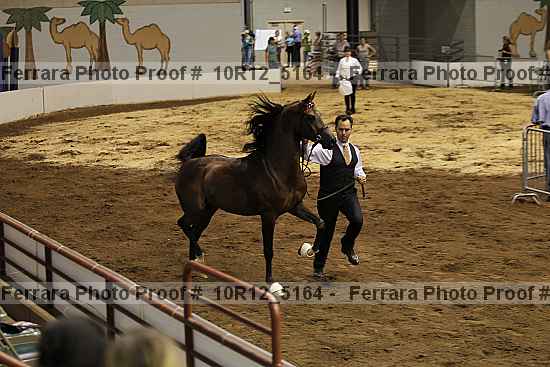 Proof Number 10r12_5164