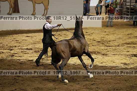 Proof Number 10r12_5167