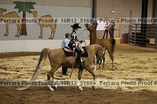 Proof Number 10r12_5169