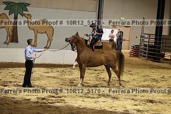 Proof Number 10r12_5170