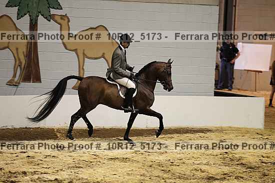 Proof Number 10r12_5173