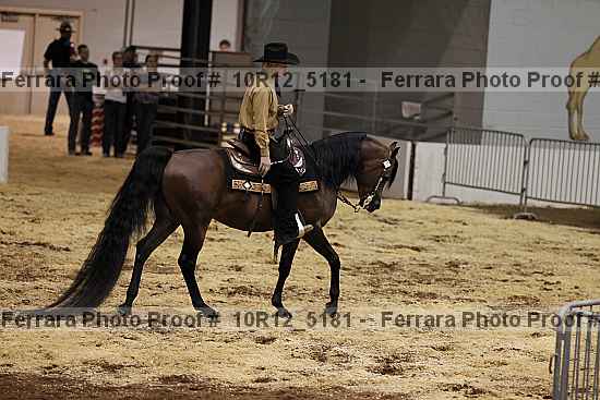 Proof Number 10r12_5181