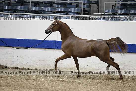 Proof Number 10r13_0001
