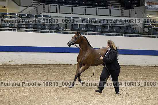 Proof Number 10r13_0008