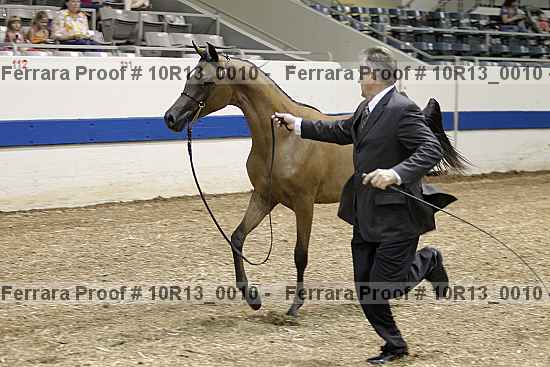 Proof Number 10r13_0010