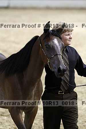 Proof Number 10r13_0018