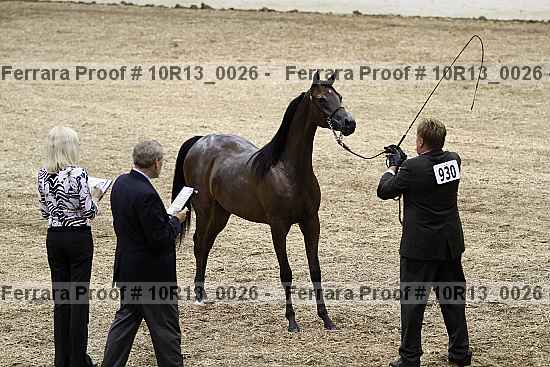 Proof Number 10r13_0026