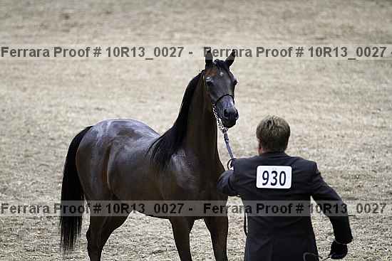 Proof Number 10r13_0027