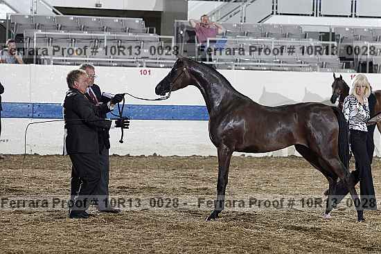 Proof Number 10r13_0028