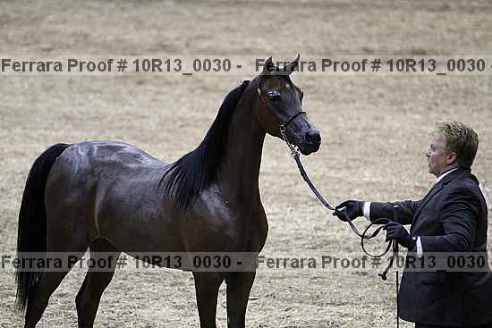 Proof Number 10r13_0030
