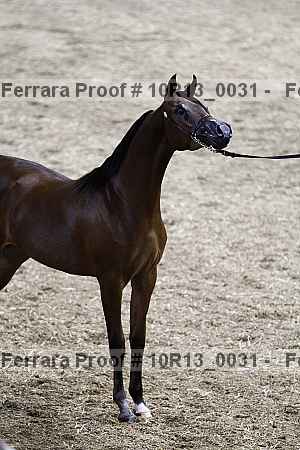 Proof Number 10r13_0031