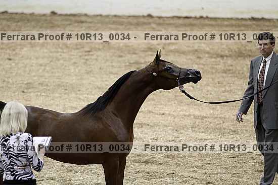 Proof Number 10r13_0034