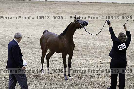 Proof Number 10r13_0035