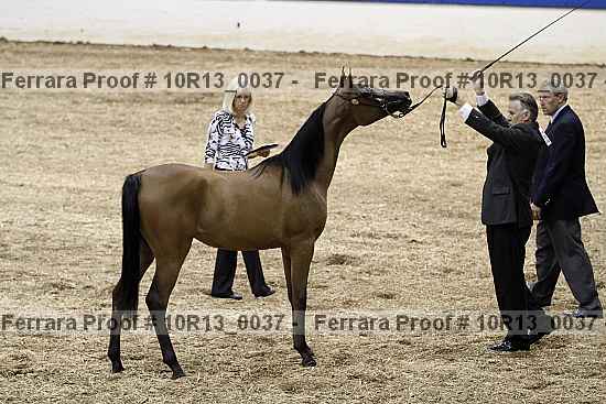 Proof Number 10r13_0037