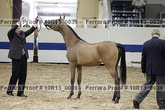 Proof Number 10r13_0039