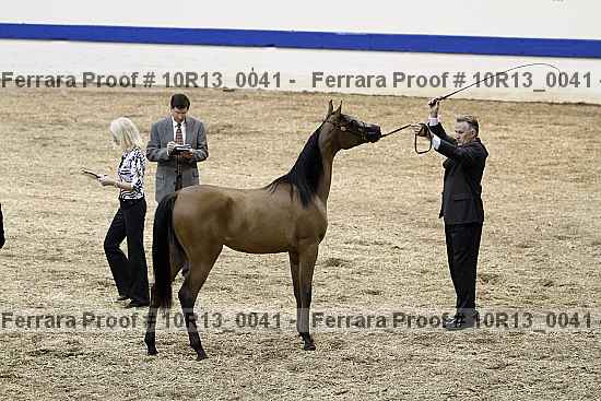 Proof Number 10r13_0041
