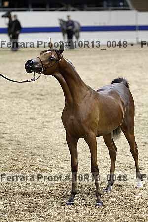Proof Number 10r13_0048