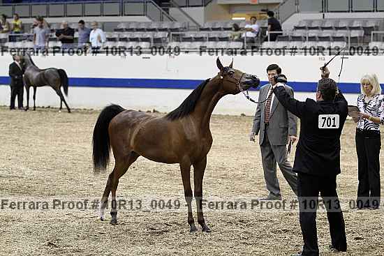 Proof Number 10r13_0049