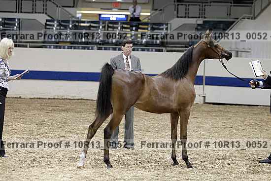 Proof Number 10r13_0052
