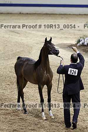 Proof Number 10r13_0054
