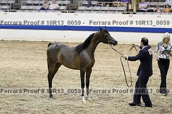 Proof Number 10r13_0059