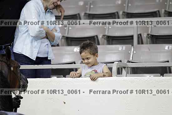 Proof Number 10r13_0061