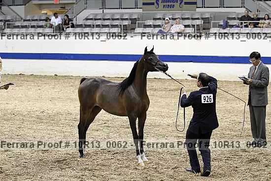 Proof Number 10r13_0062