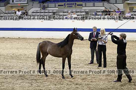 Proof Number 10r13_0069