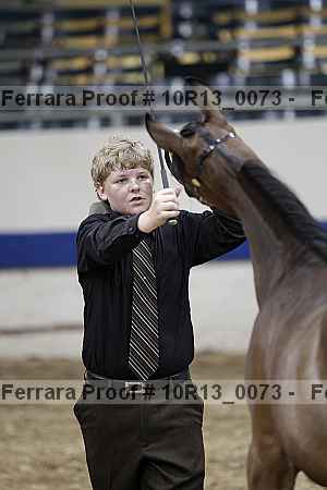 Proof Number 10r13_0073