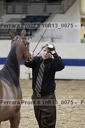 Proof Number 10r13_0075