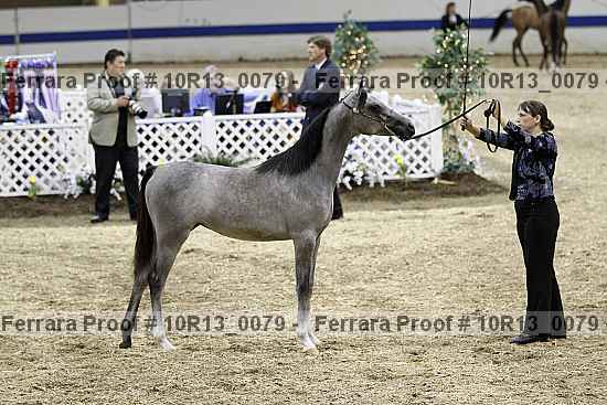 Proof Number 10r13_0079
