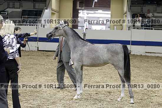 Proof Number 10r13_0080