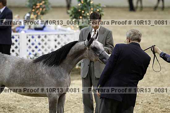 Proof Number 10r13_0081