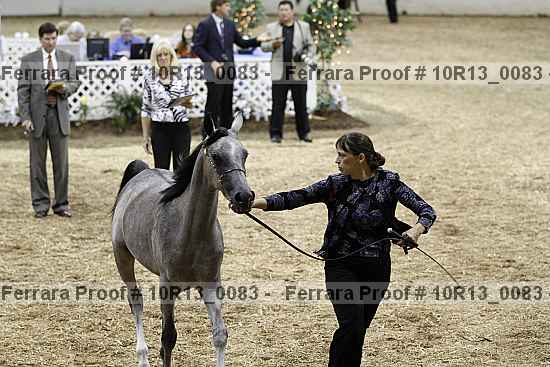 Proof Number 10r13_0083