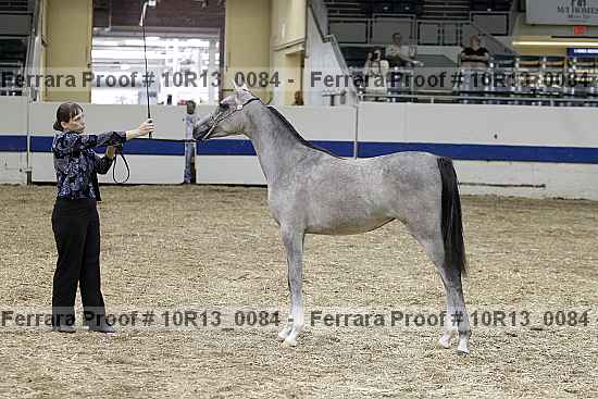 Proof Number 10r13_0084