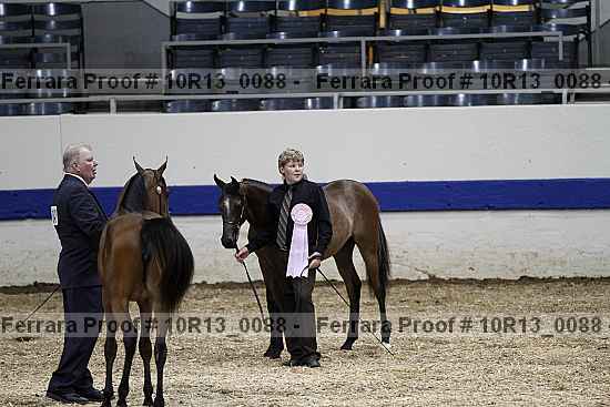 Proof Number 10r13_0088