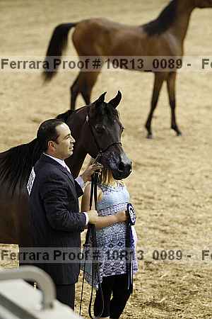 Proof Number 10r13_0089