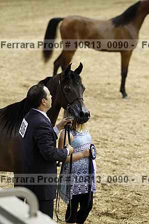 Proof Number 10r13_0090