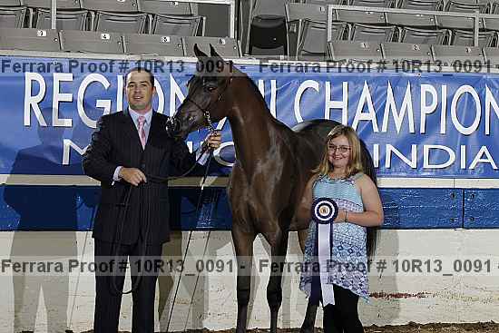 Proof Number 10r13_0091