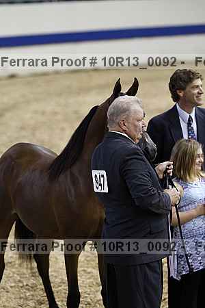 Proof Number 10r13_0092