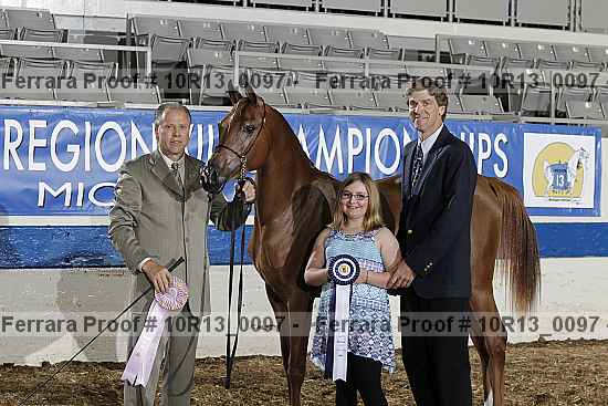 Proof Number 10r13_0097