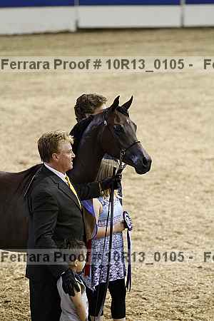 Proof Number 10r13_0105